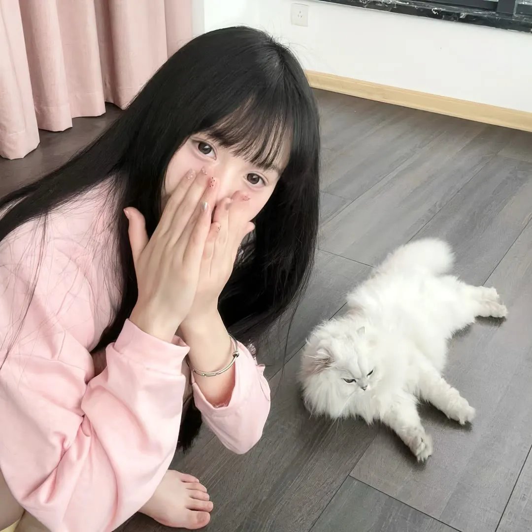 功夫传人之龙拳小子